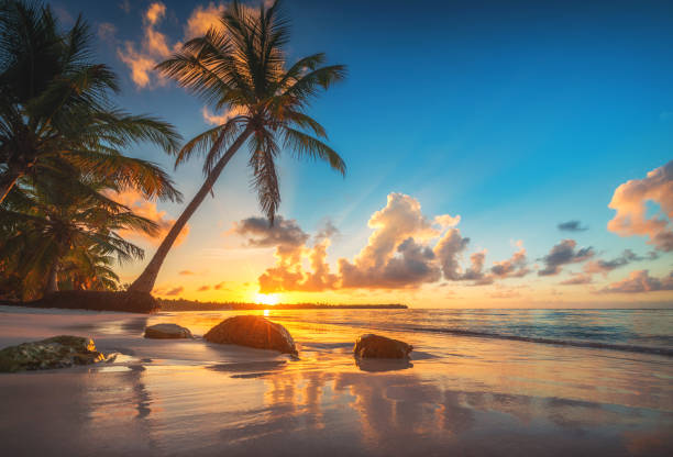 Leisure & Relaxation Tourism