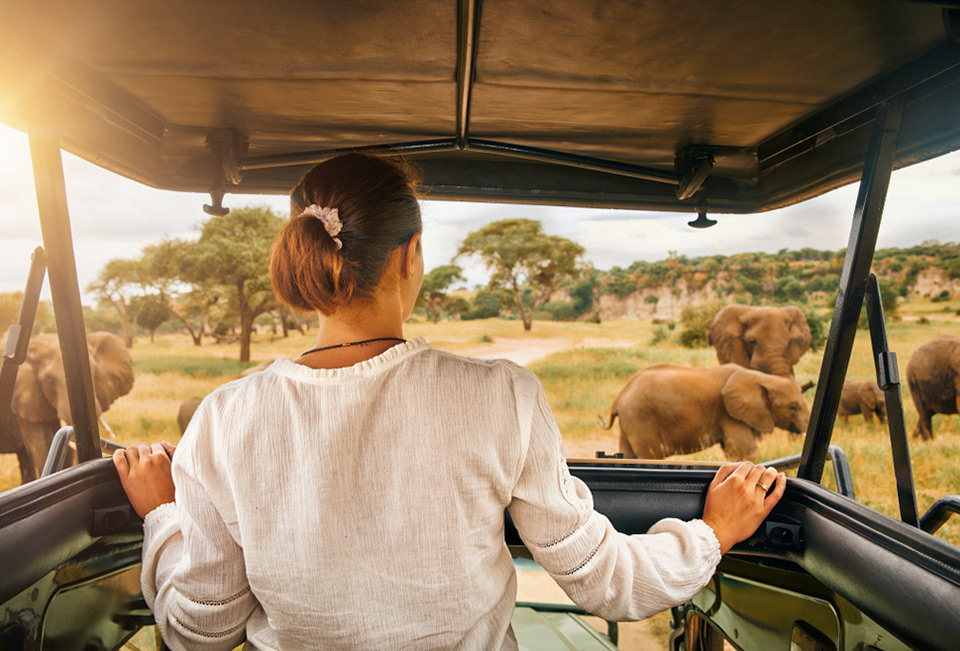 7 Days  Wildlife & Safari Tourism