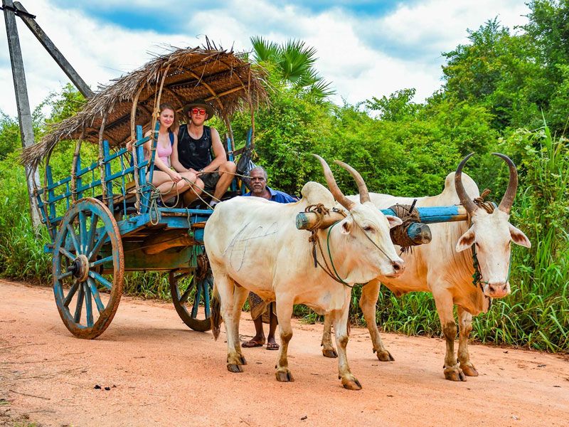 5 Days  Rural & Village Tourism