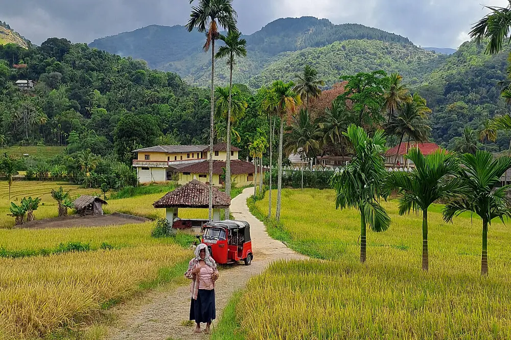 7 Days   Rural & Village Tourism
