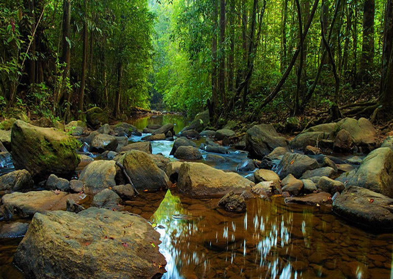 10 Days  Nature & Eco-Tourism