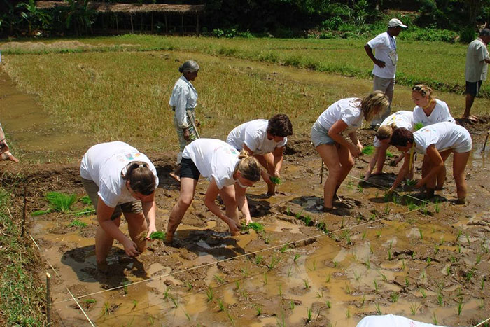 10 Days Rural & Village Tourism