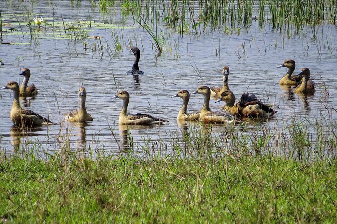 12 Days  Wildlife & Safari Tourism