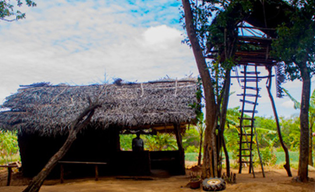 14 Days Rural & Village Tourism