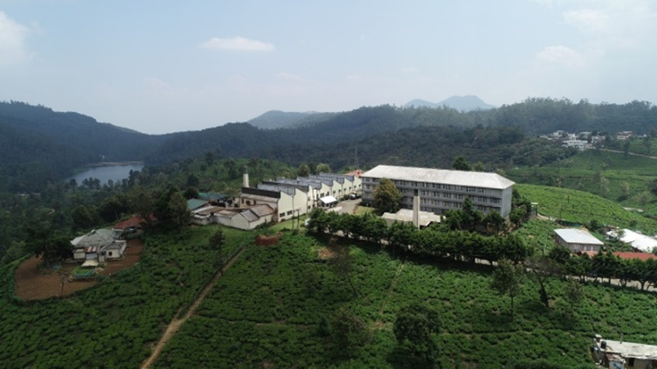 Kelani Valley Plantation