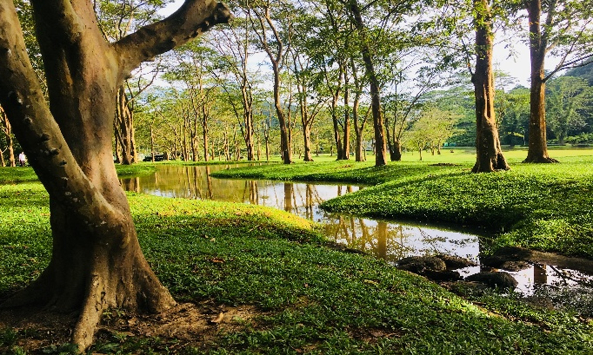 Seethawaka Wet Zone Botanical Garden