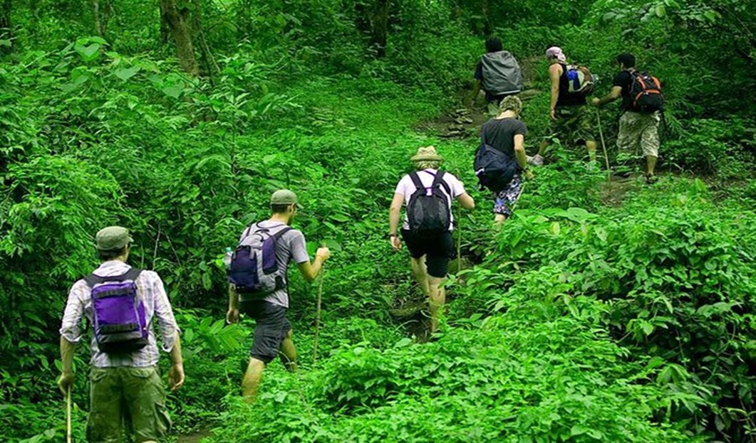 Jungle Trekking