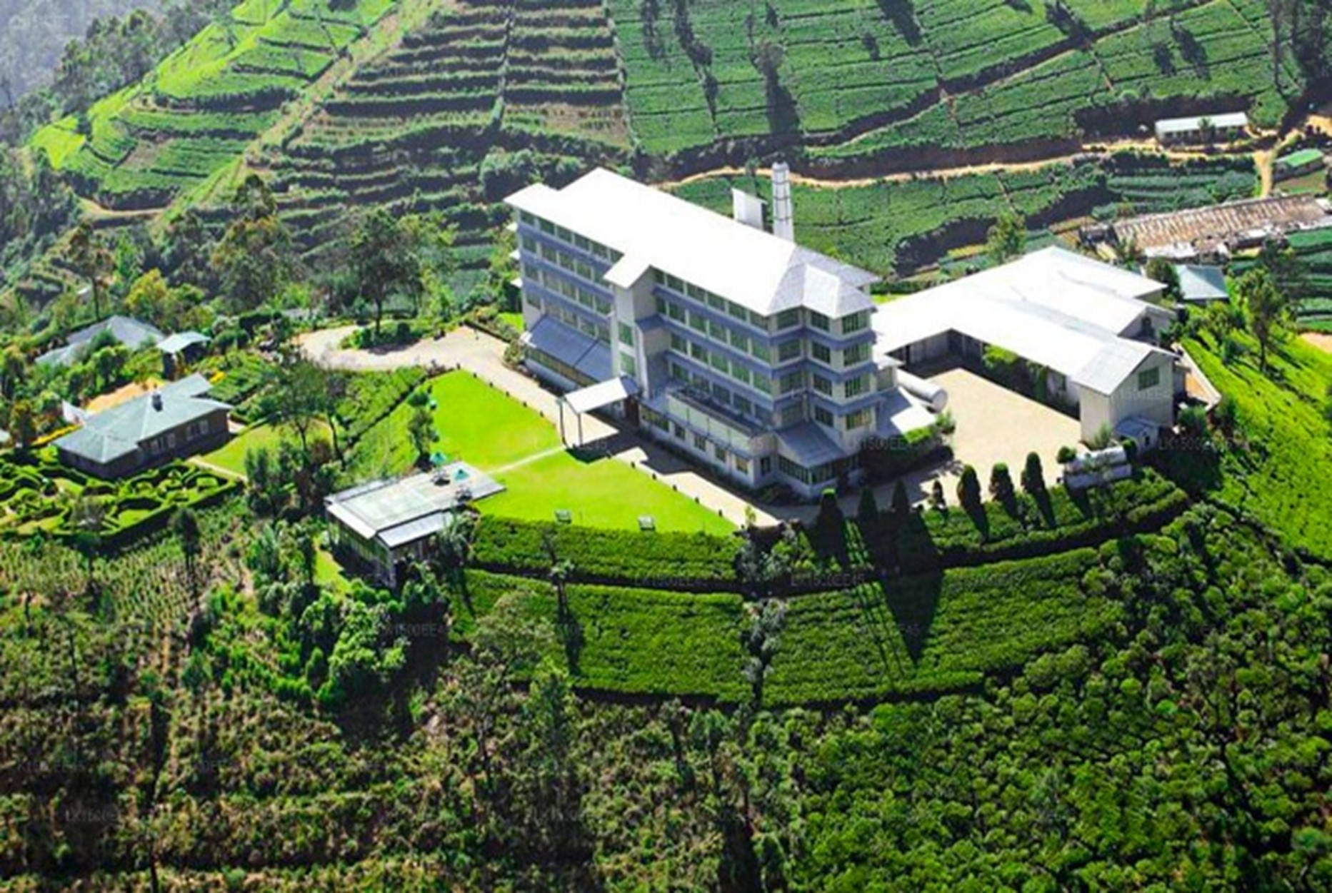 Tea Factories