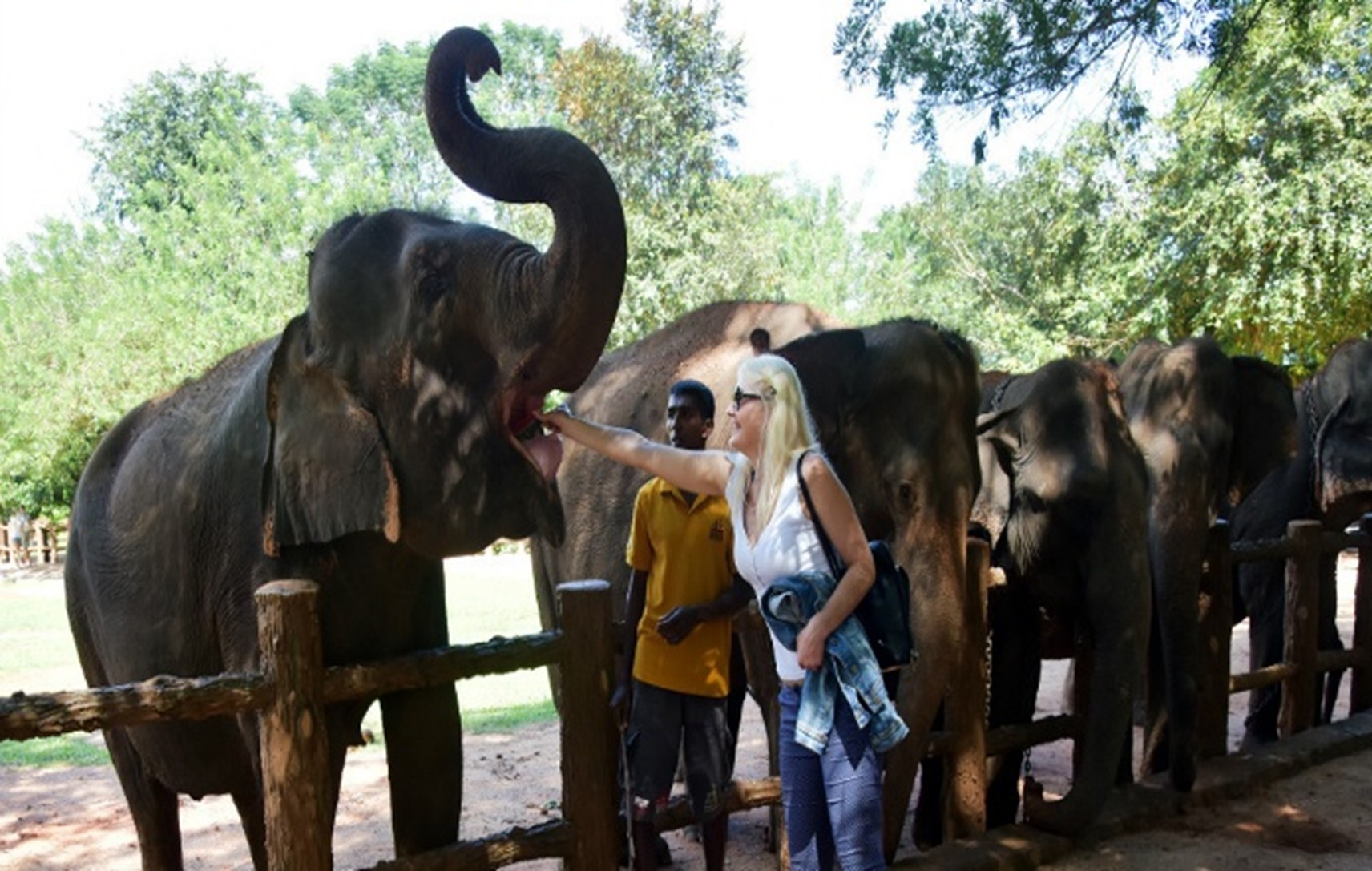 Kegalle Elephant Conservation Centre