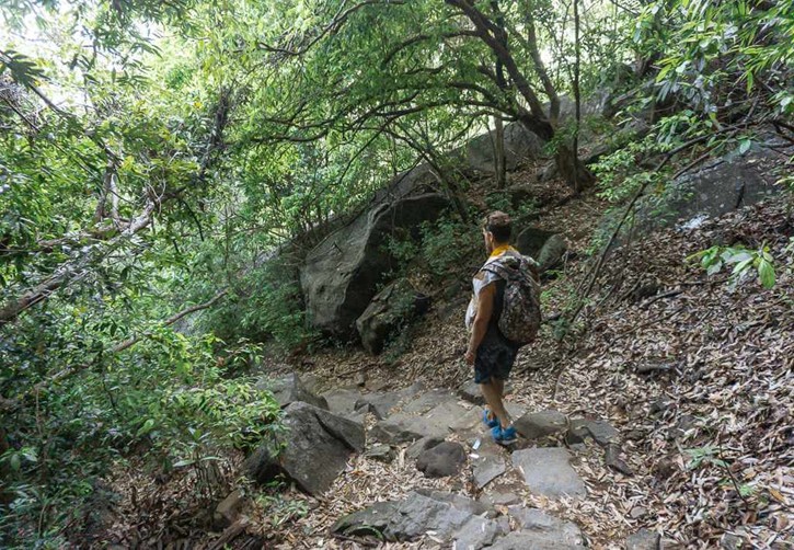 Jungle Trekking