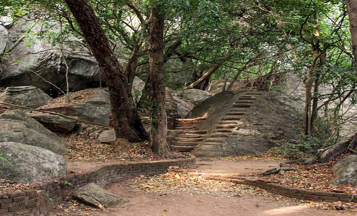 Jungle Trekking