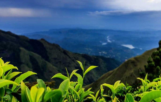 Mountain Viewpoint