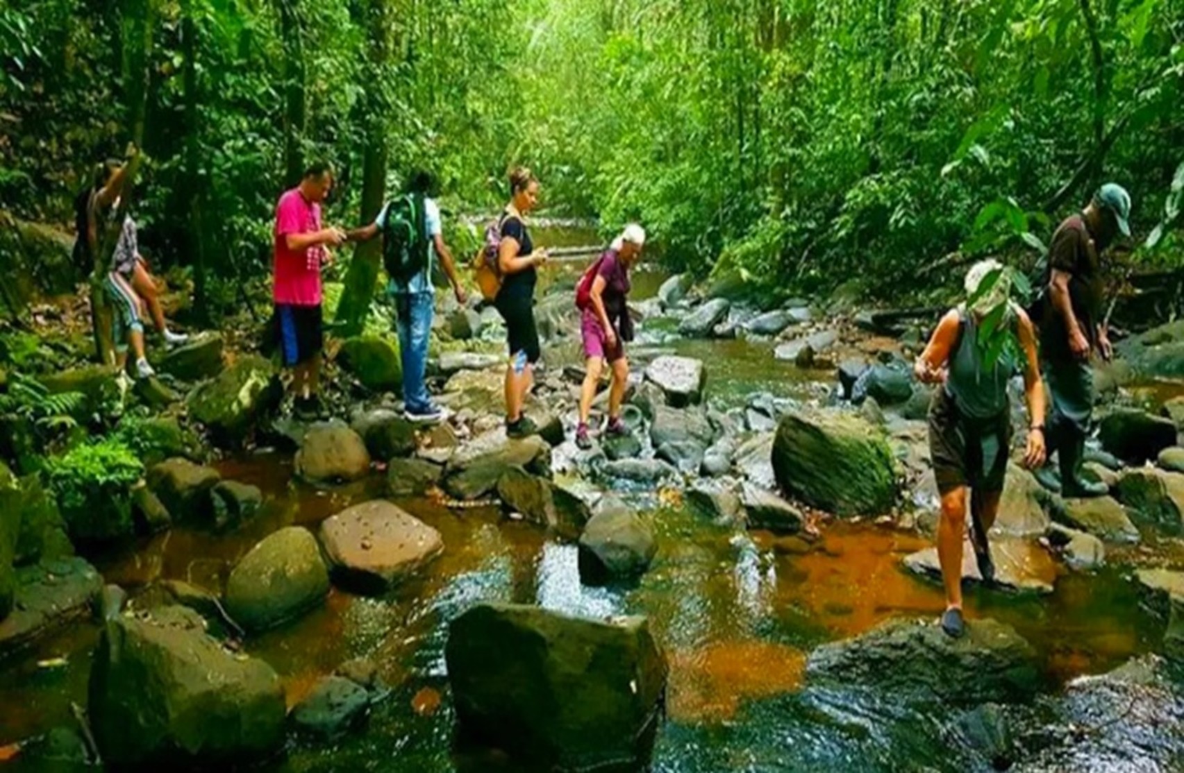 Hike Jungle