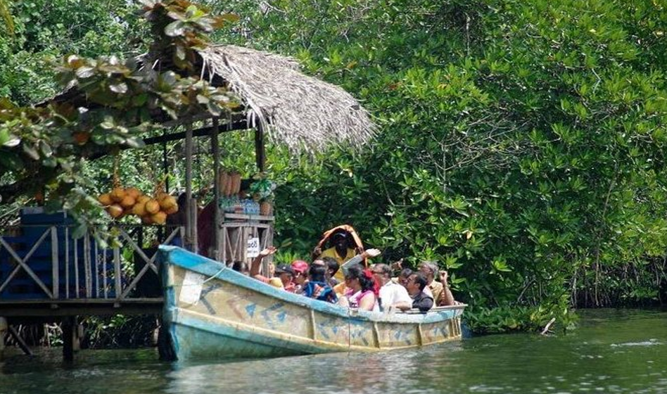 Bentta River Safari