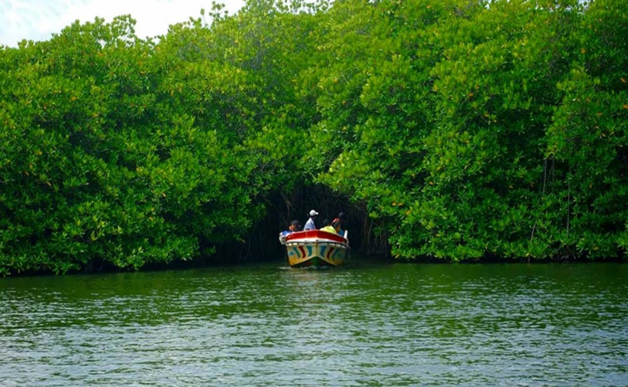 Madu River Boat Safari