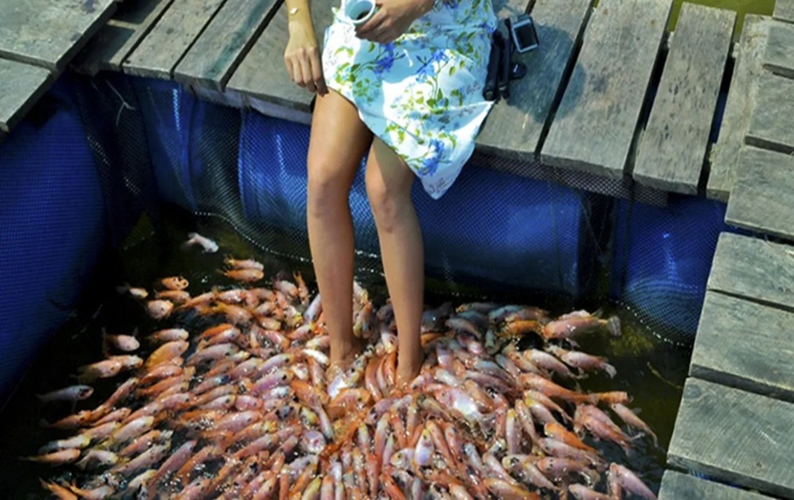 Madu River Boat Safari