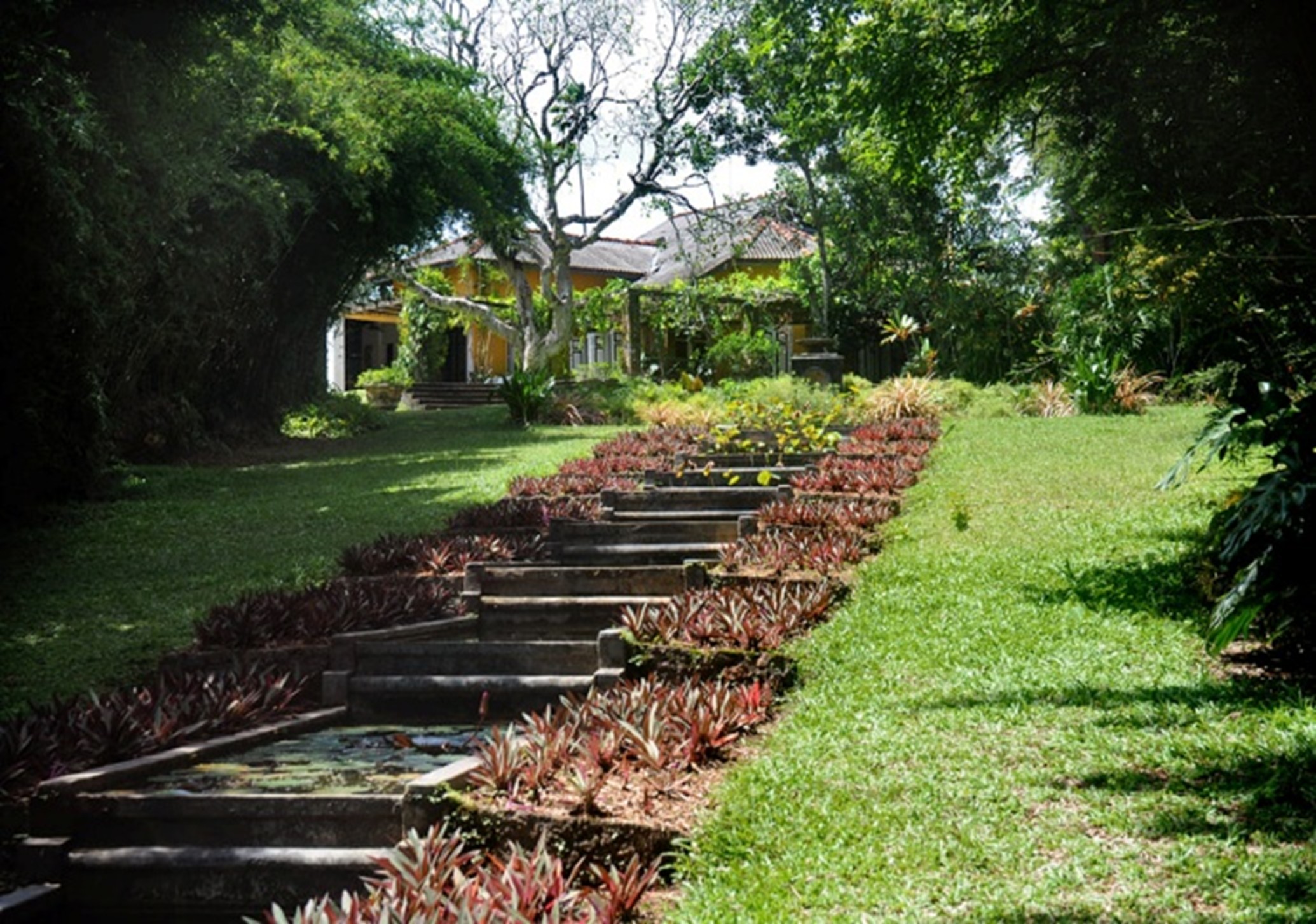 Bentota Brief Garden