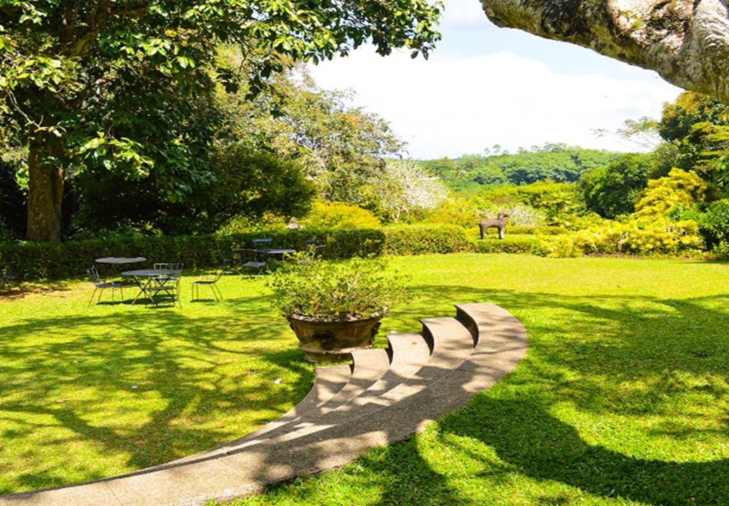 Bentota Brief Garden