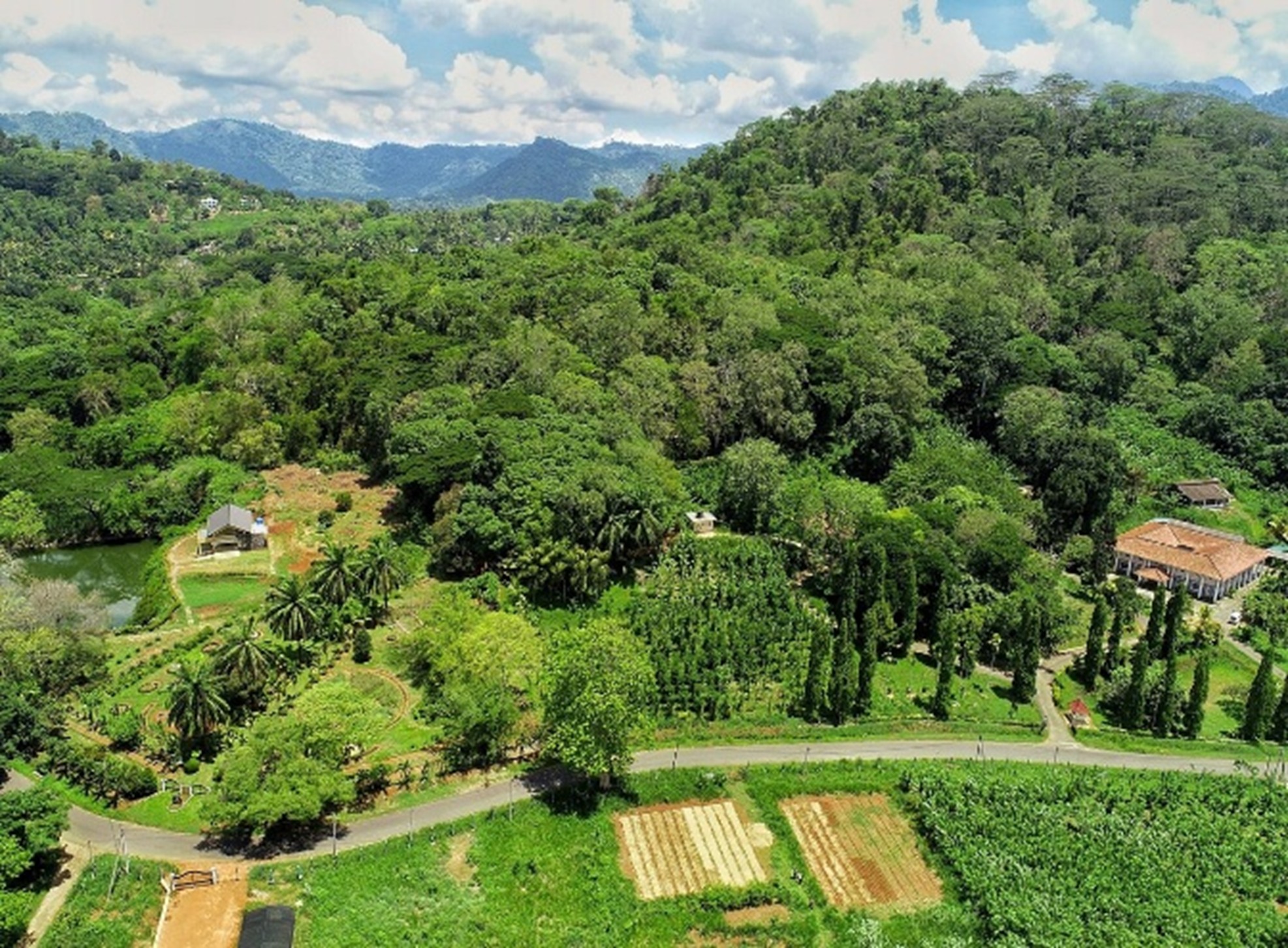 Matale Spice Garden
