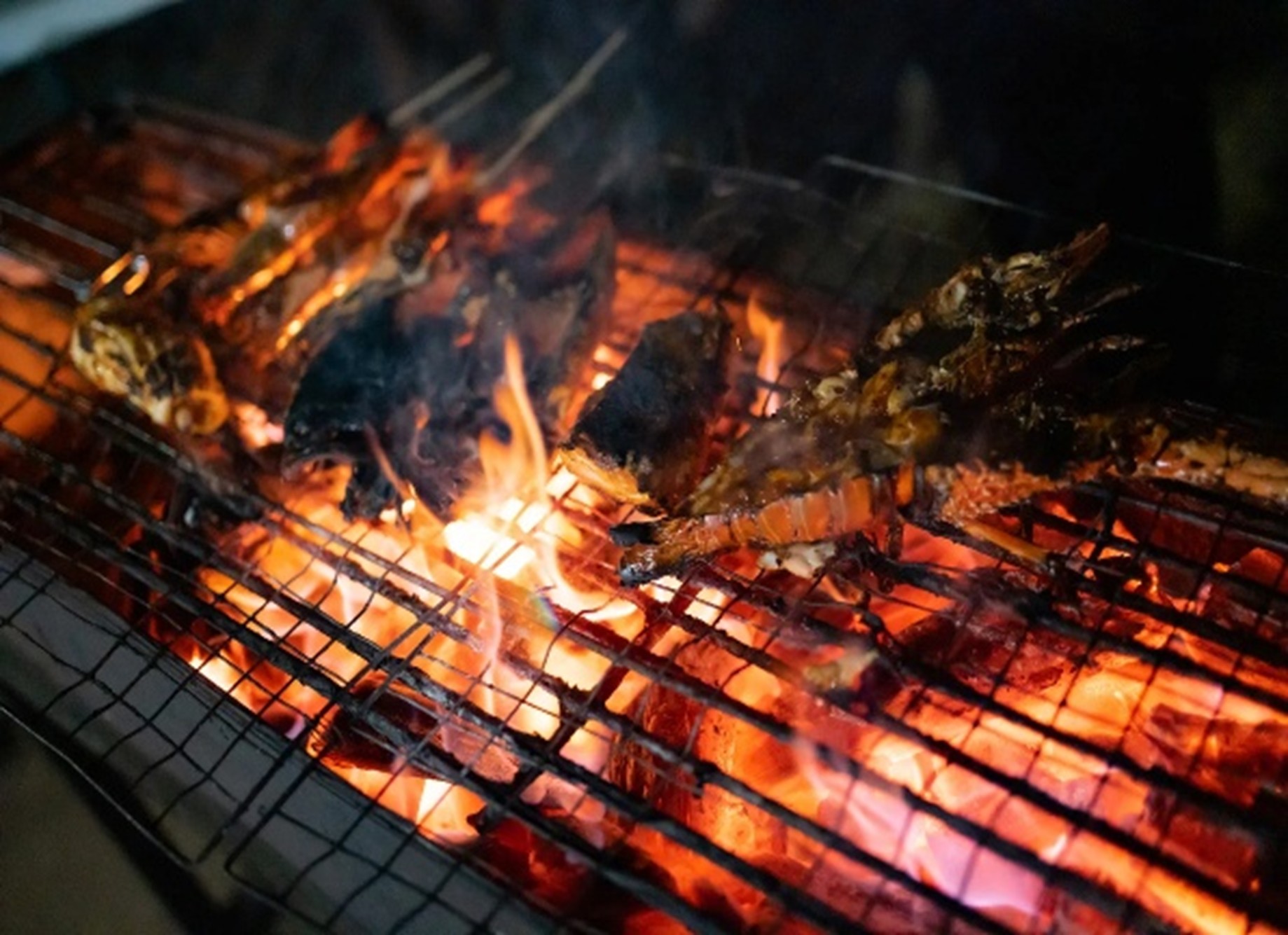 Bonfire/BBQ