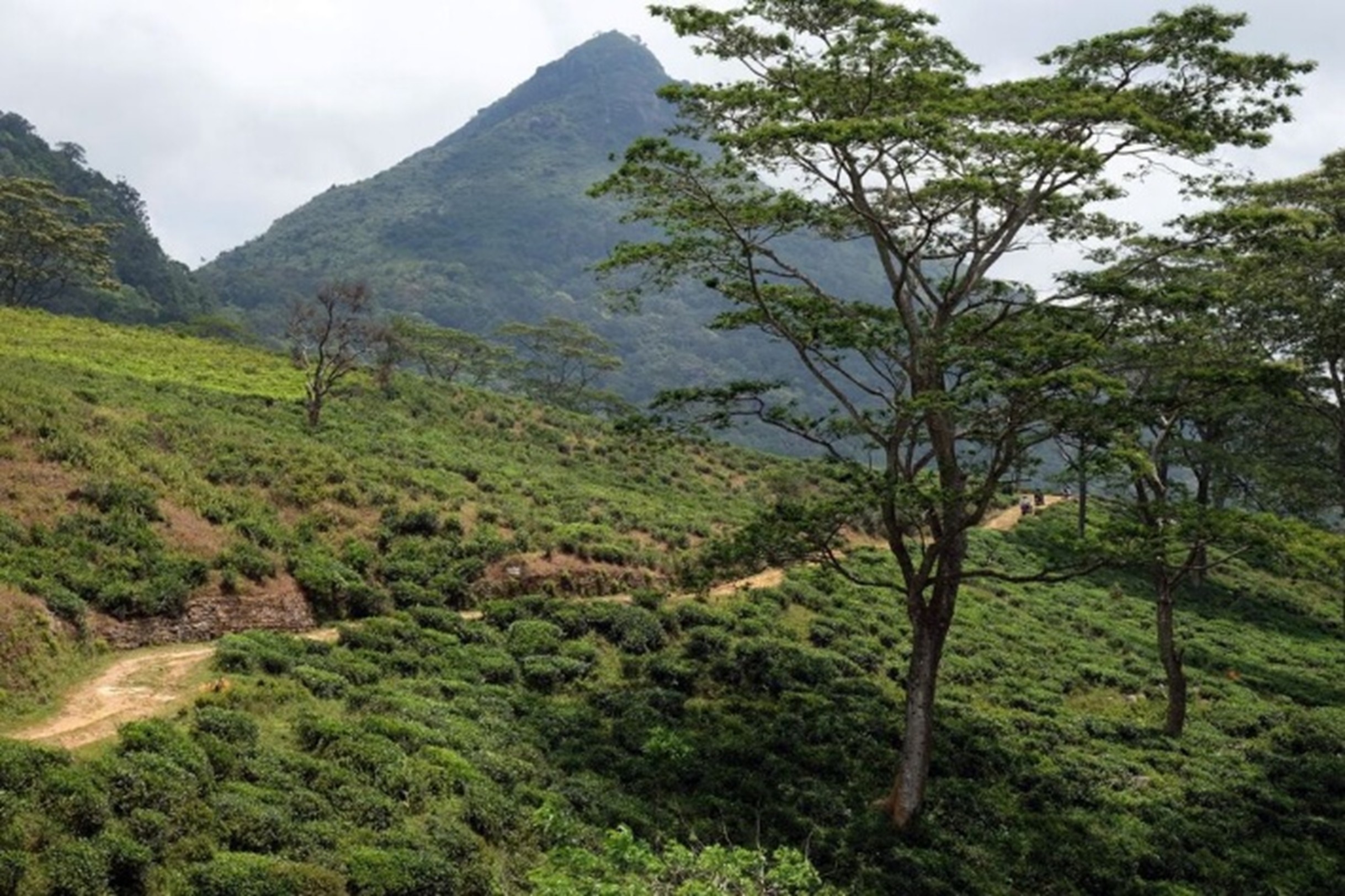 Hulangala