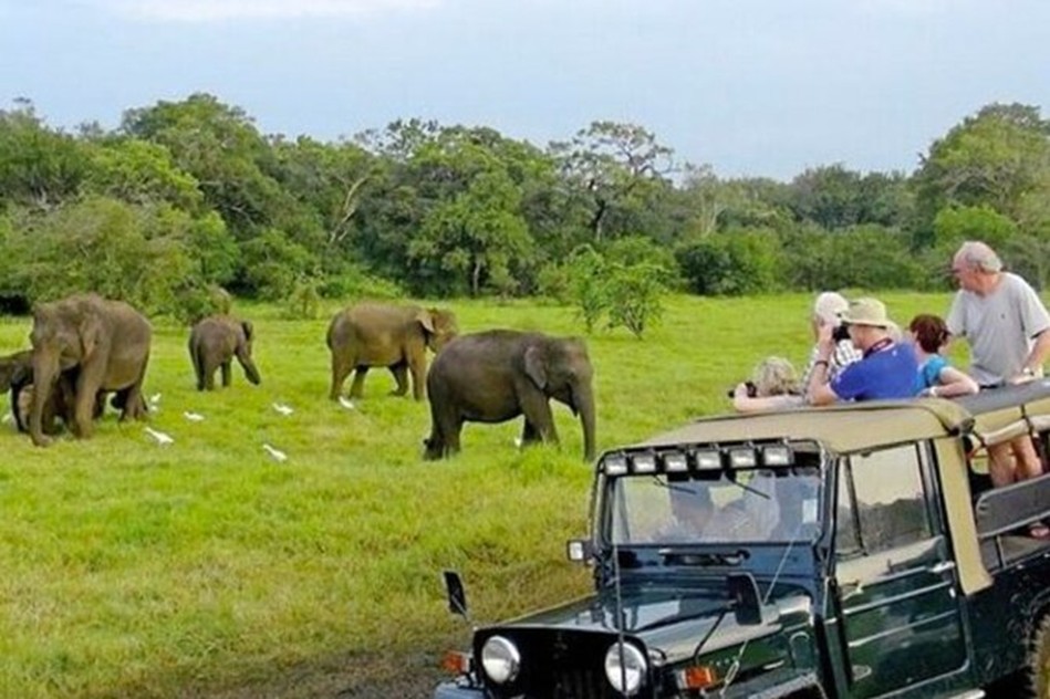 Jeep Safari