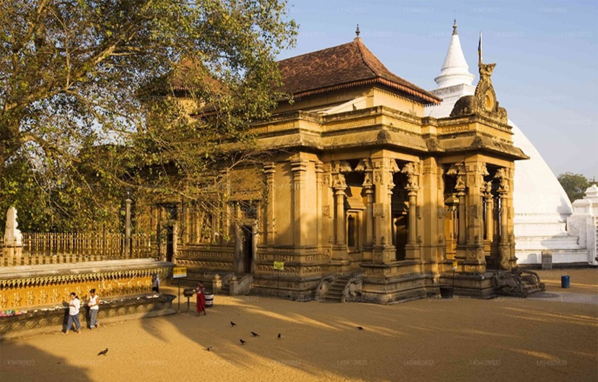 Kelaniya Raja Maha Viharaya