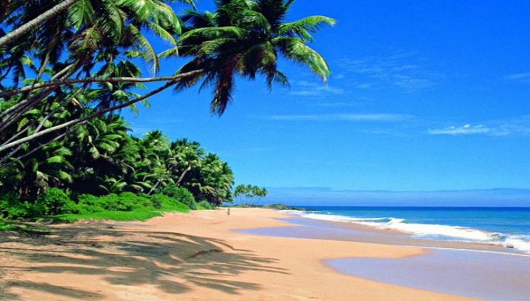 Negombo Beach