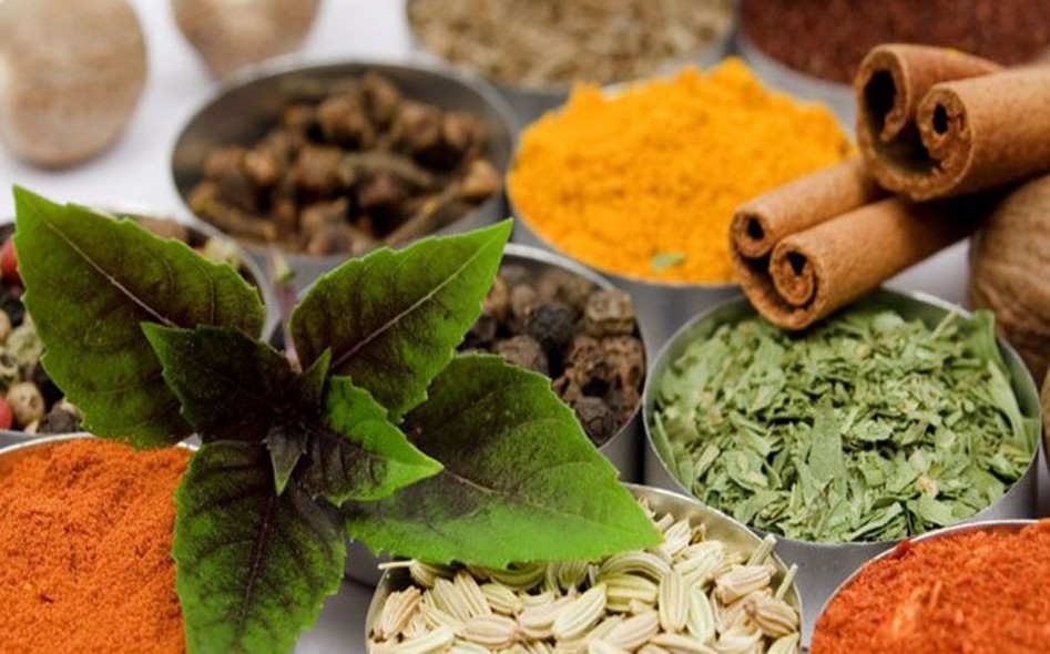 Spice Garden