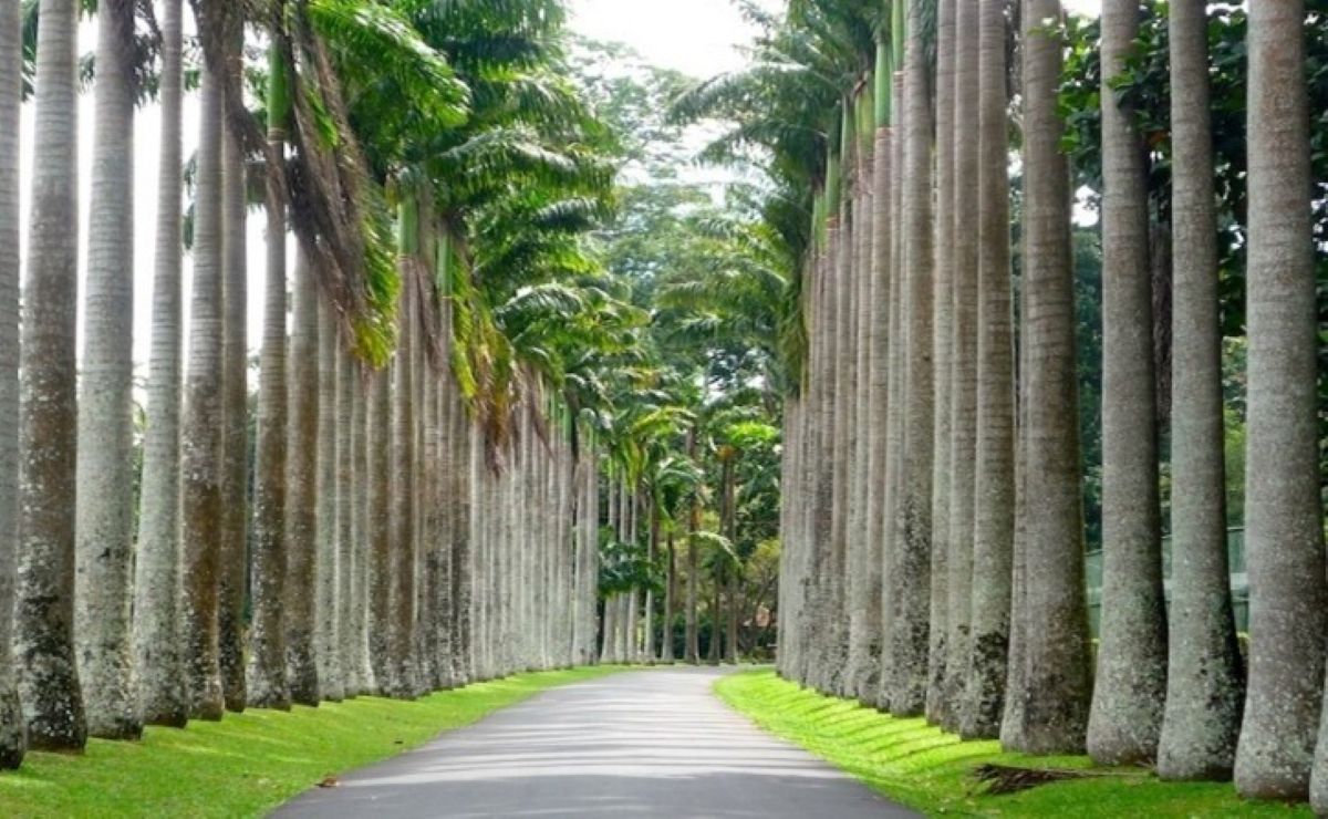 Royal Botanical Gardens