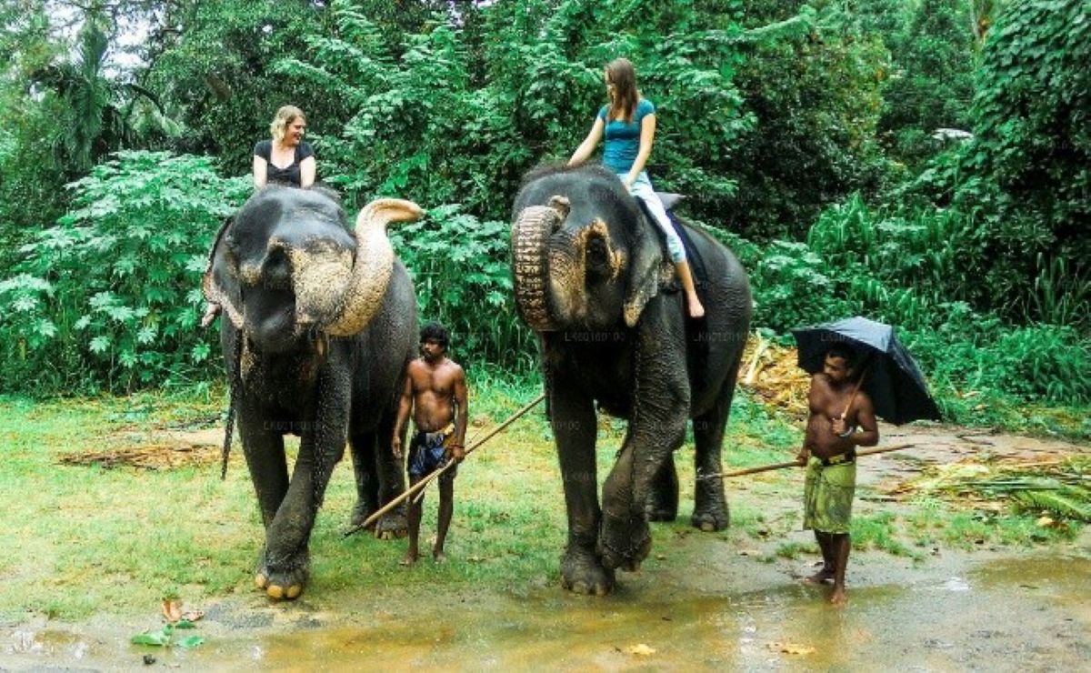 Pinnawala Elephant Orphanage