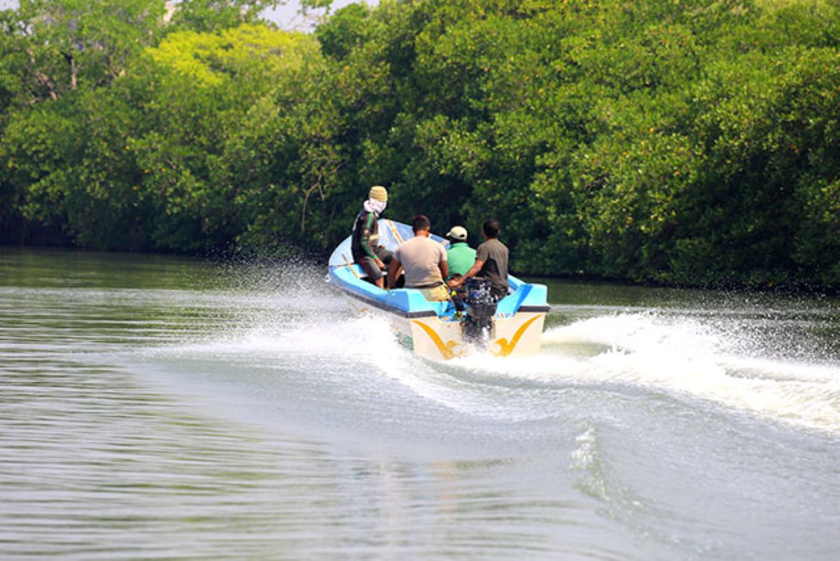 Negombo Lagoon