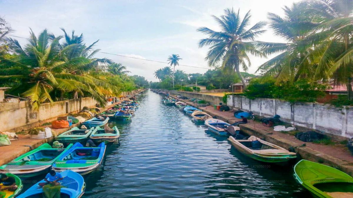 Negombo Lagoon