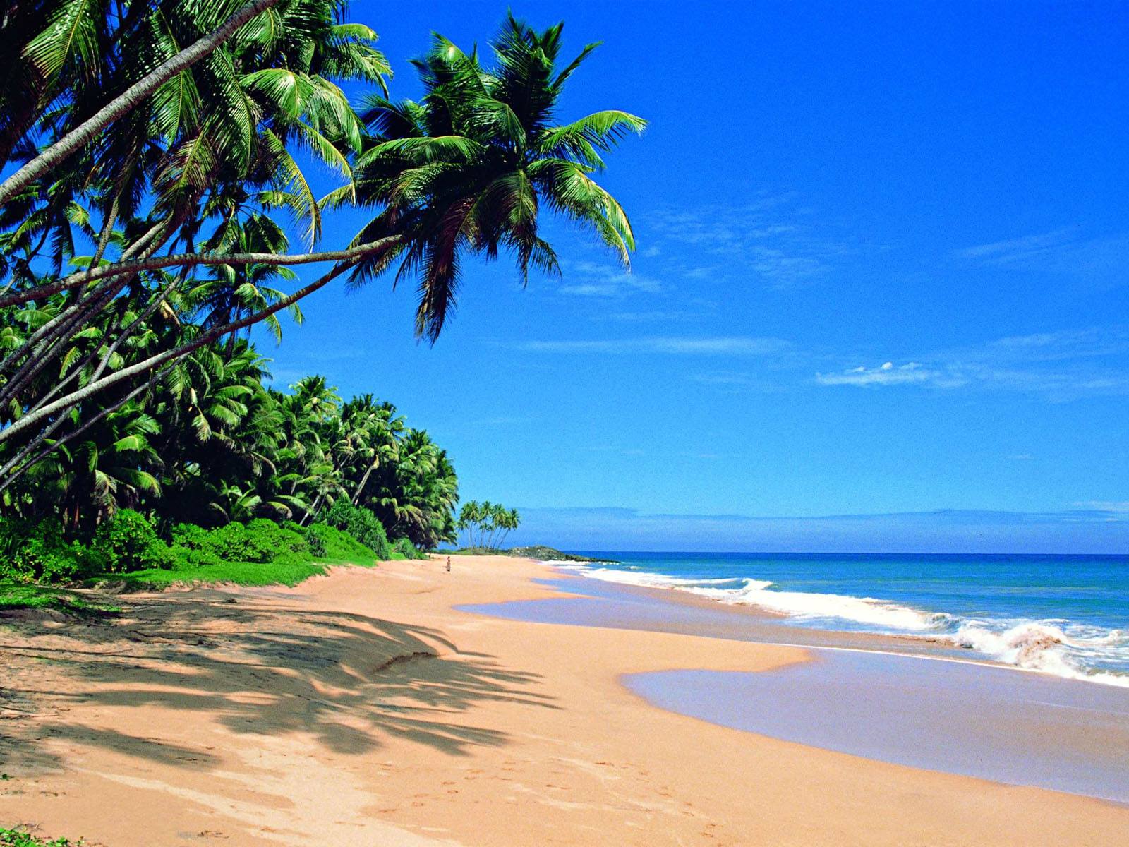 Negombo Beach