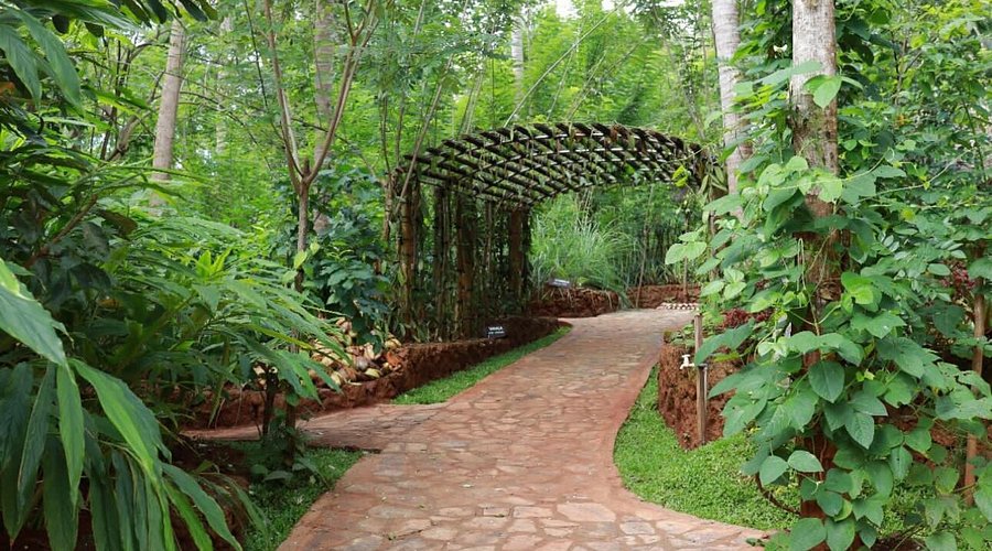 Matale Spice Gardens