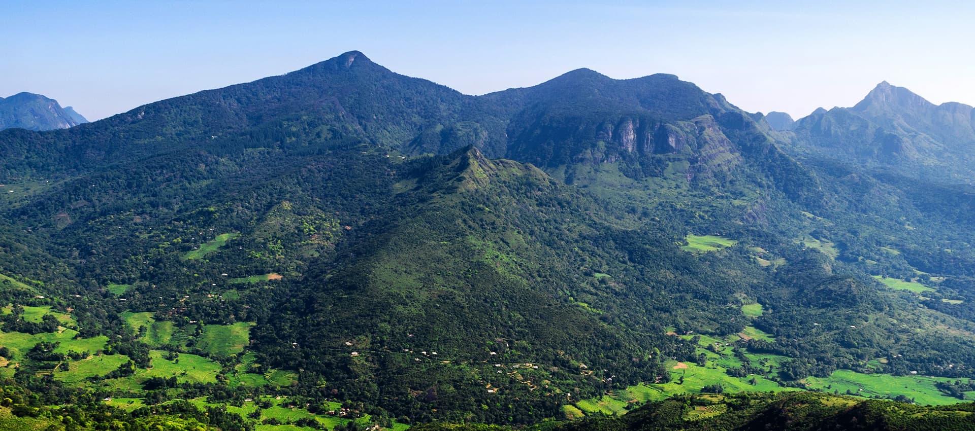 Knuckles Mountain Foothills