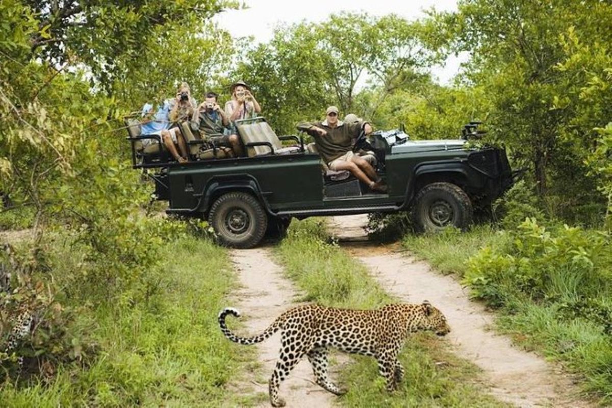 Jeep Safari