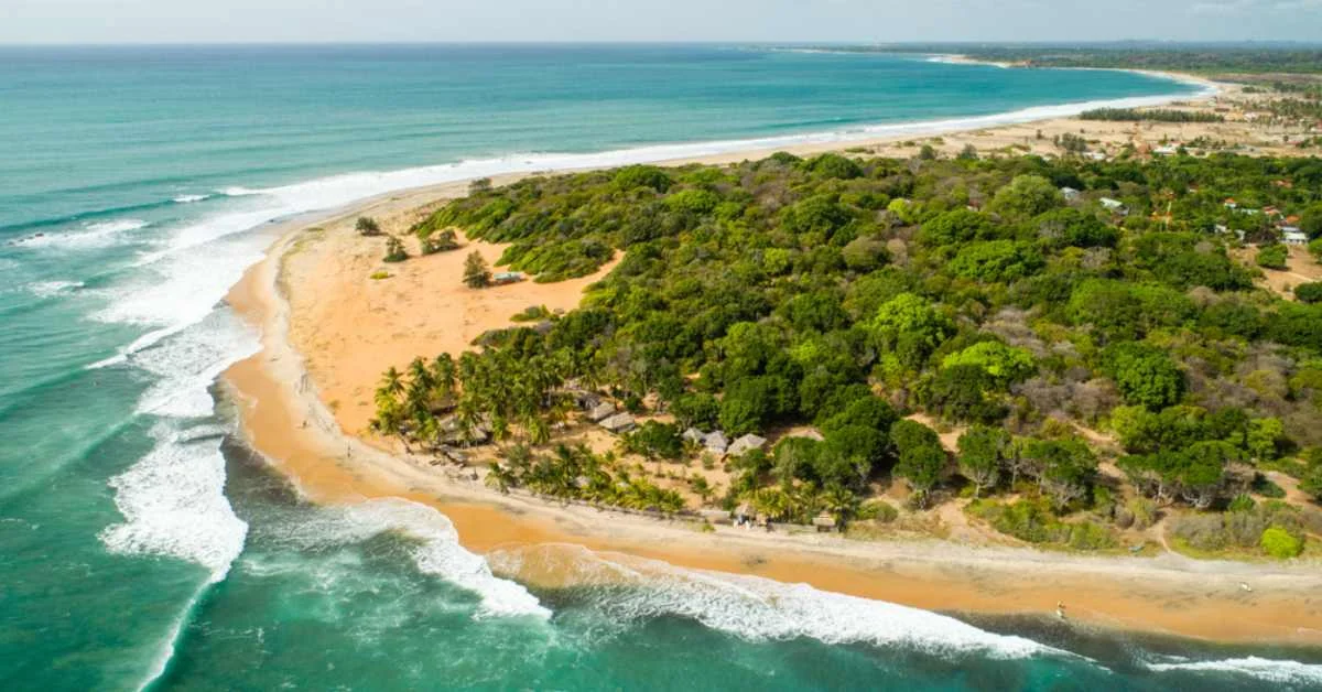 Arugam Bay