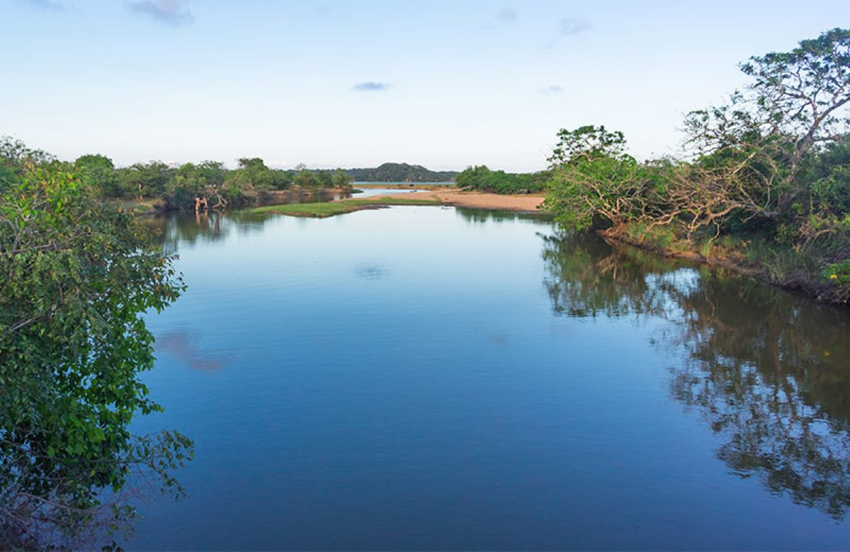 Lagoon