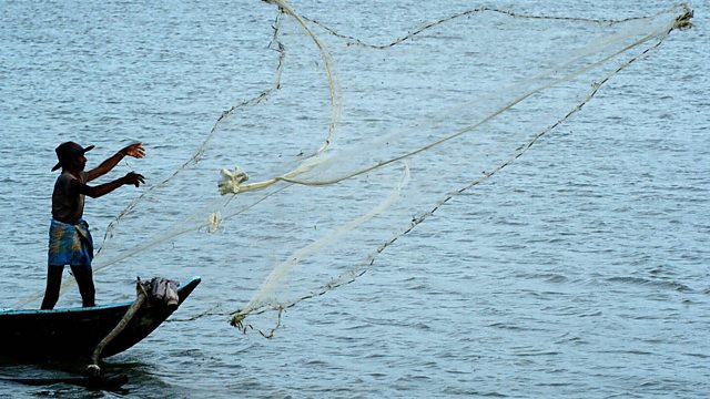 Batticaloa Lagoon Fishing