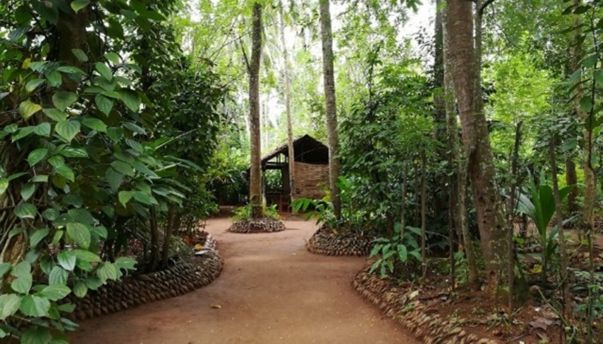 Spice Garden
