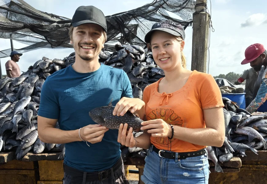 negombo fish market