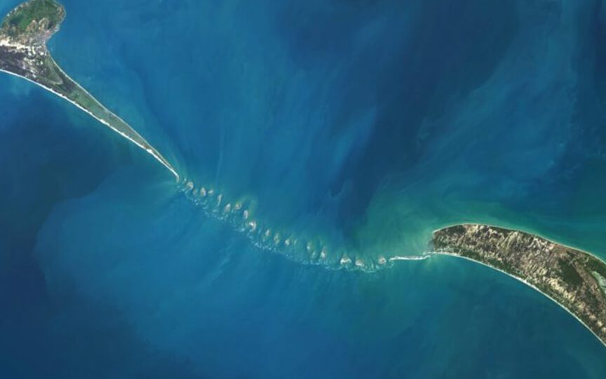 mannar