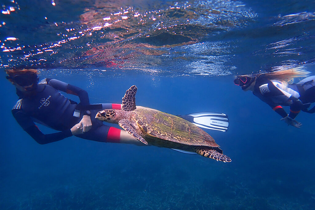 snorkling Pigeon Island