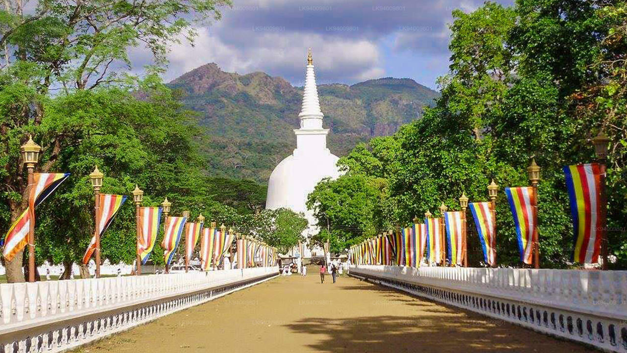 Mahiyanganaya Temple