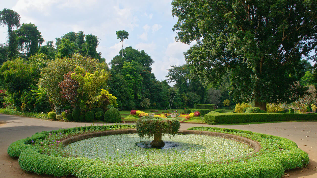 Royal Botanical Gardens, Peradeniya2