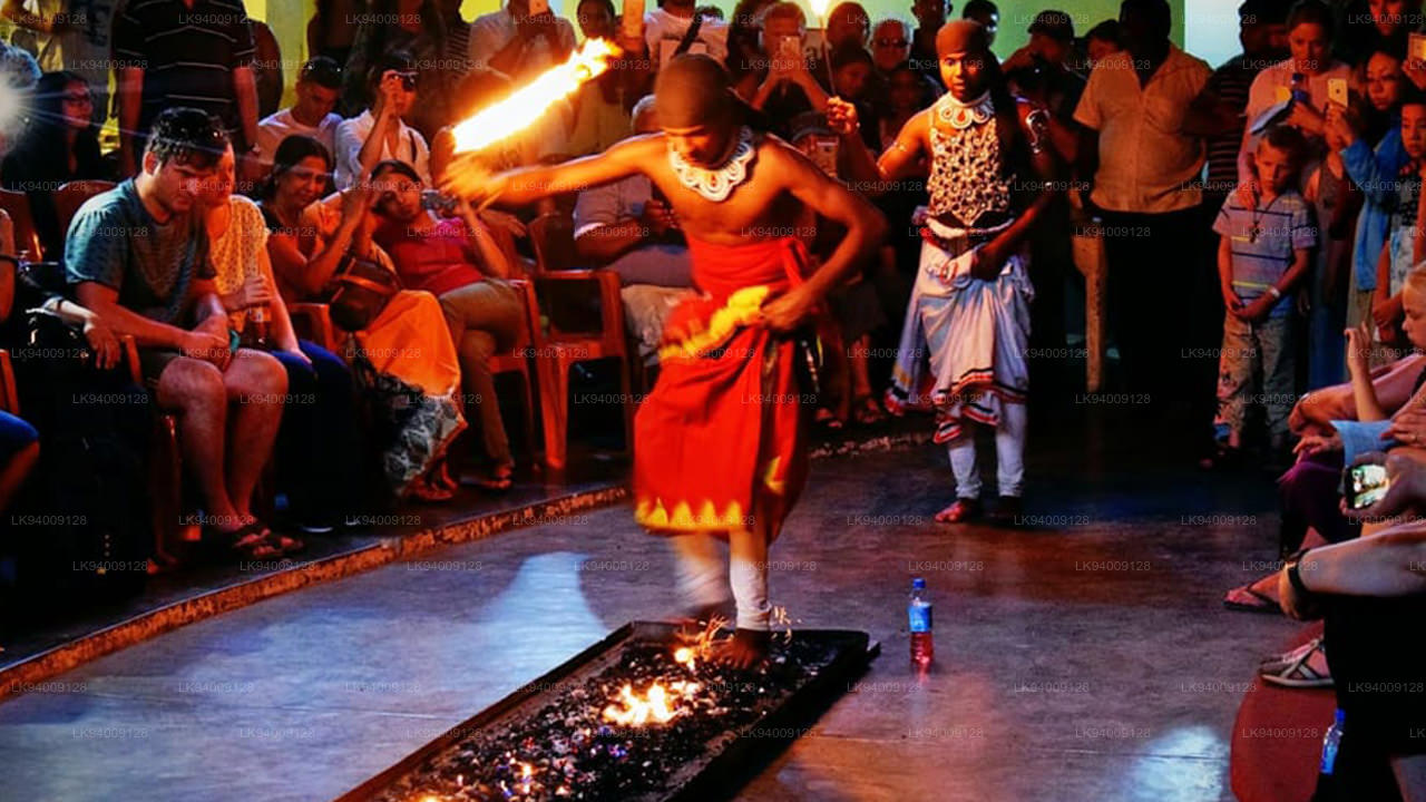 Udarata Cultural Show