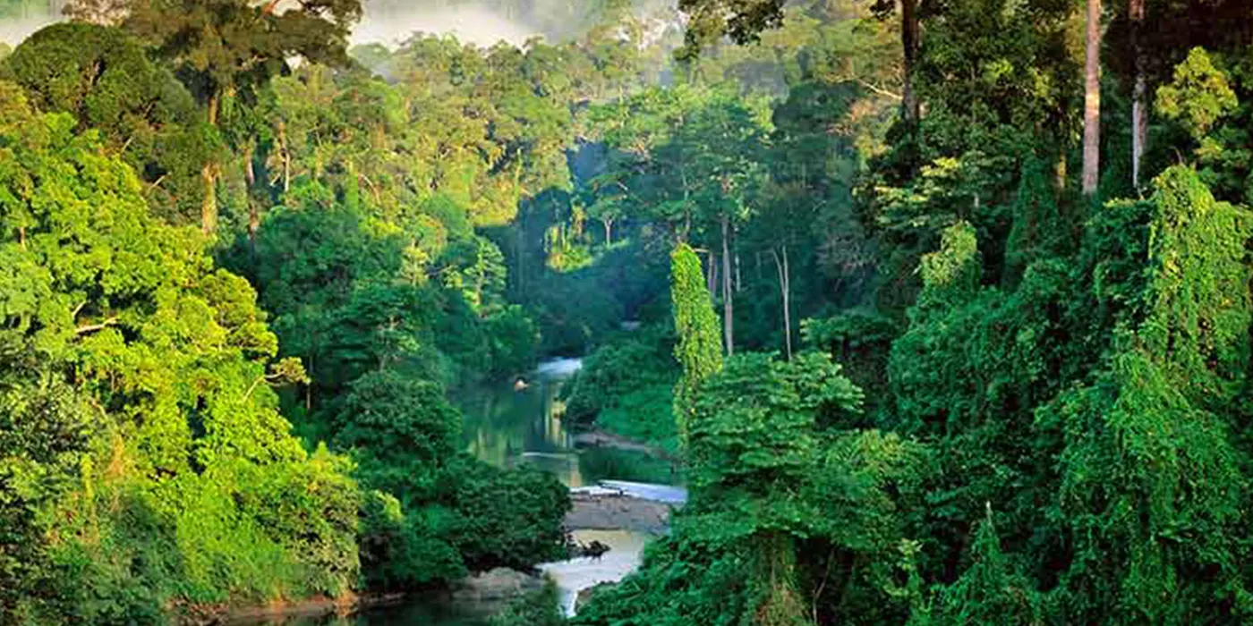 Journey to Sinharaja Rainforest