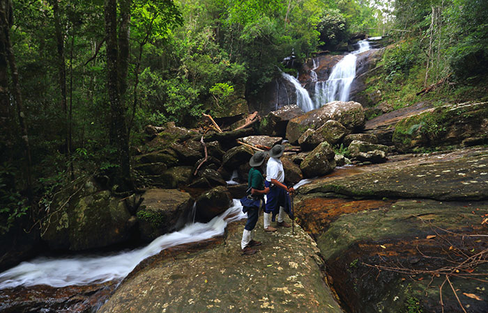 Sinharaja Rainforest