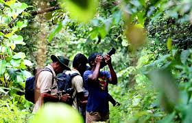 Jungle Photography Experience